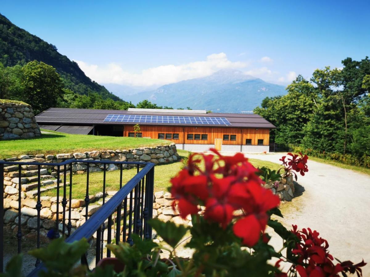 Agriturismo La Ca' D'Amelio Lessolo Zewnętrze zdjęcie